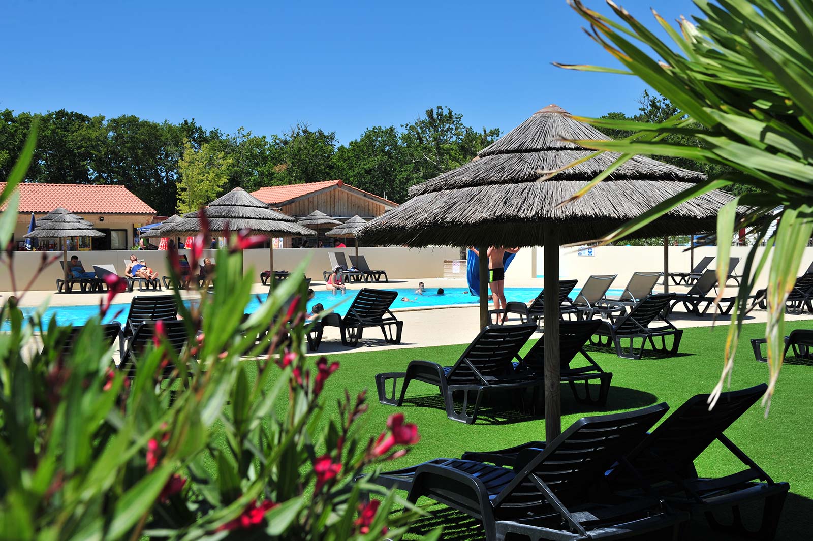 Piscine, paillotes et transats au camping Tastesoule à Vensac