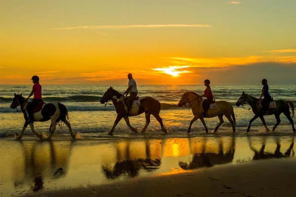 Coucher de soleil sur chevaux en bord de mer à Montaliver avec Hippo Service 33