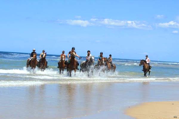 Promenade à cheval en bord de mer avec le Haras Saint-Vivien à Saint-Vivien-de-Médoc