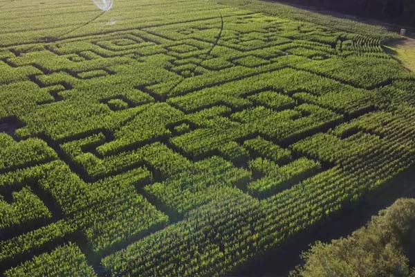 Labyrinthe en plein air avec Laby Médoc à Naujac surmer