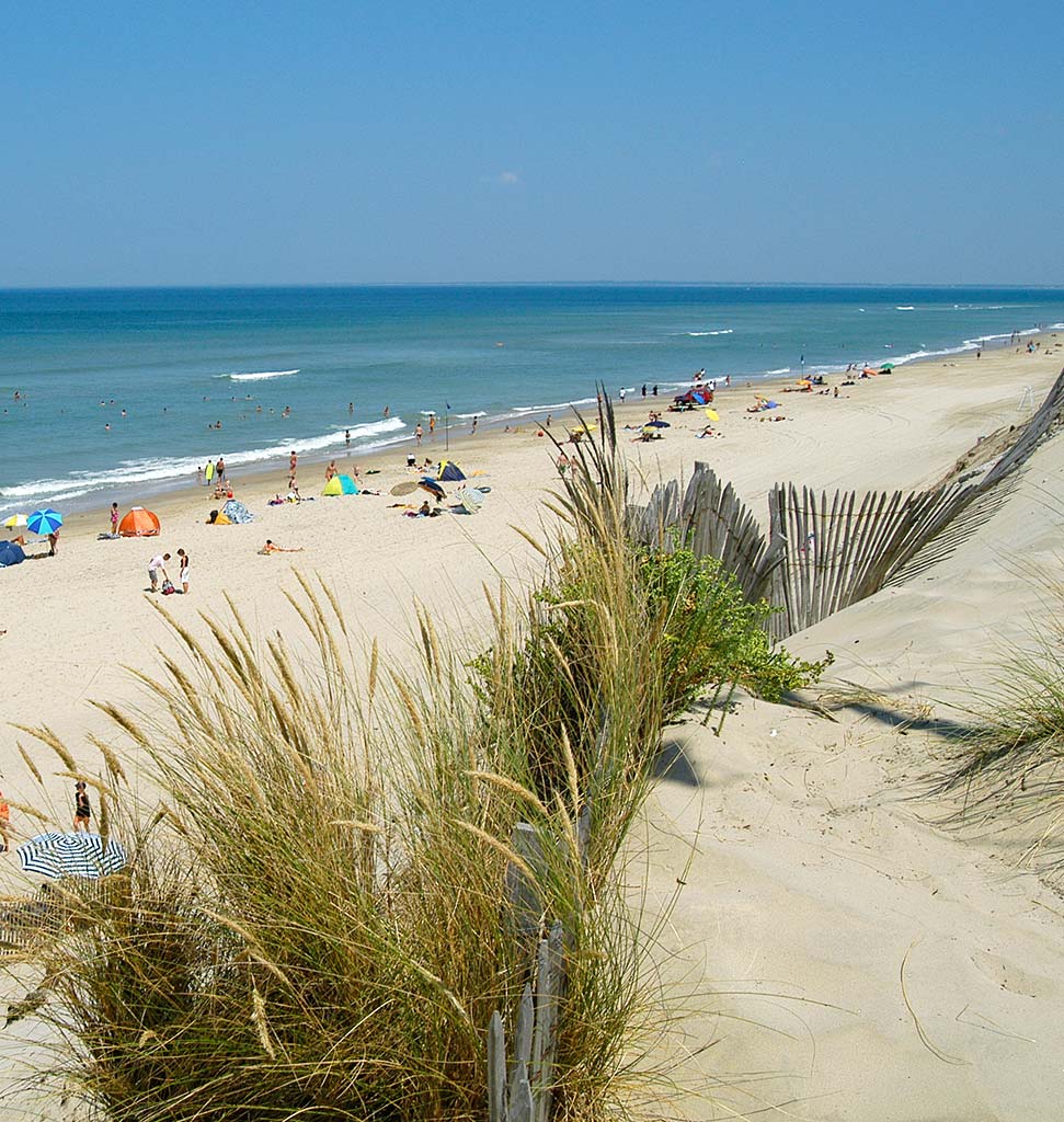 Plage du Médoc avec plantes sauvages et sable fin près de Soulac
