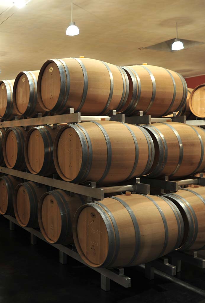 Barriques de vin du Médoc dans une cave près de Soulac