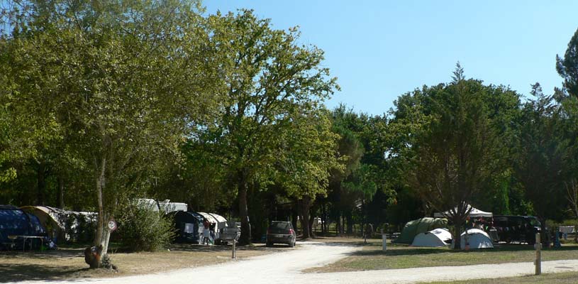 Allée du parc du camping Tastesoule à Vensac et ses emplacements de camping