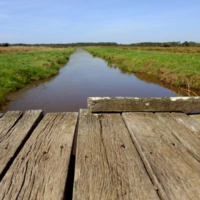 Le marais près de Vendays et Montalivet proche du camping Tastesoule dans le Médoc